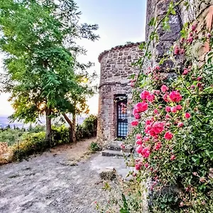 Historic 14th Century Palazzo Sarteano
